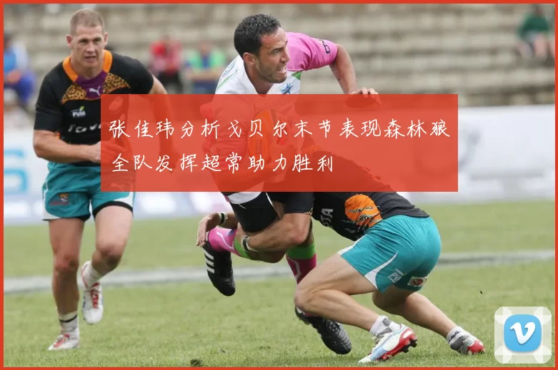 张佳玮分析戈贝尔末节表现森林狼全队发挥超常助力胜利