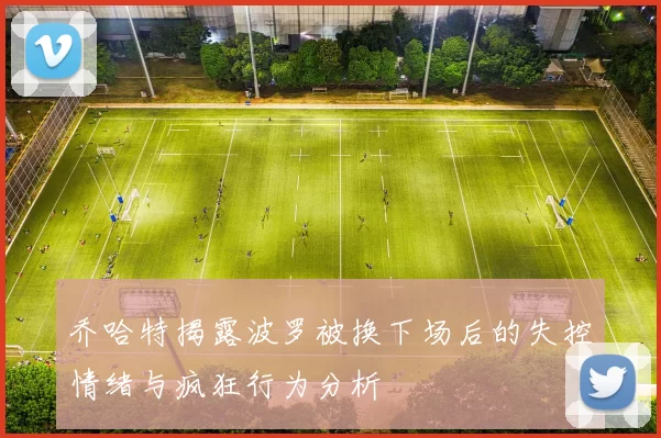 乔哈特揭露波罗被换下场后的失控情绪与疯狂行为分析
