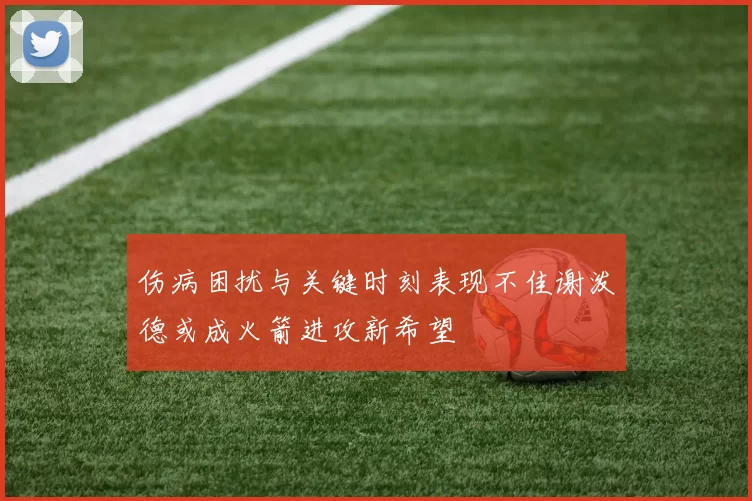 伤病困扰与关键时刻表现不佳谢泼德或成火箭进攻新希望